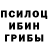 Псилоцибиновые грибы Magic Shrooms Melek Bakashov