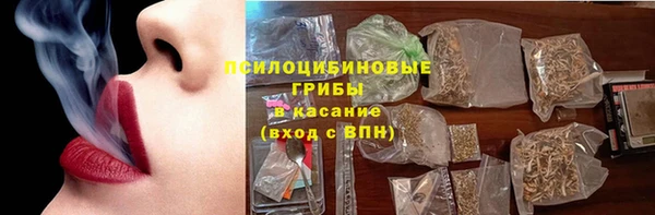 стафф Богданович