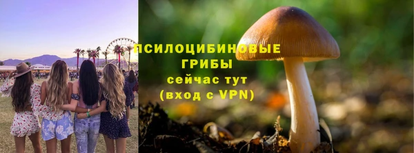 ПСИЛОЦИБИНОВЫЕ ГРИБЫ Богородск