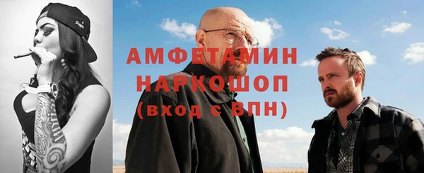 молекула духа Богородицк