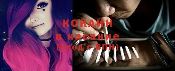 стафф Богданович