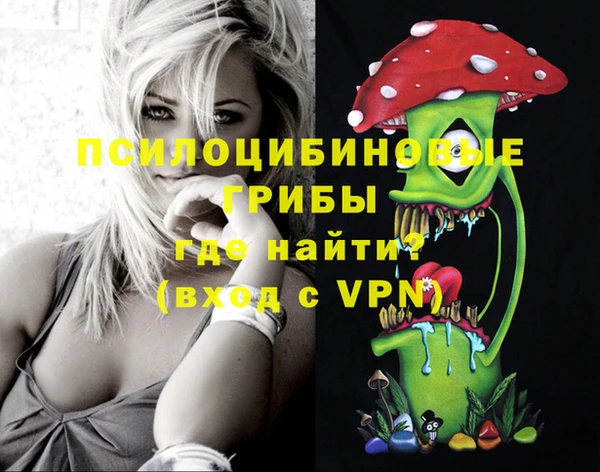 молекула духа Богородицк