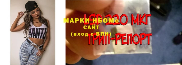 ПСИЛОЦИБИНОВЫЕ ГРИБЫ Богородск
