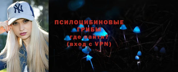 ПСИЛОЦИБИНОВЫЕ ГРИБЫ Богородск