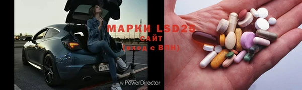 стафф Богданович
