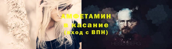 стафф Богданович