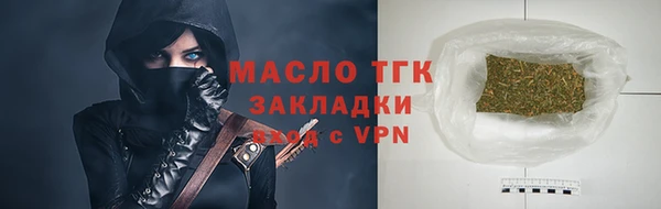 молекула духа Богородицк