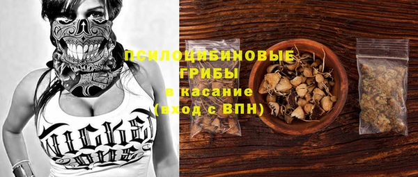 ПСИЛОЦИБИНОВЫЕ ГРИБЫ Богородск