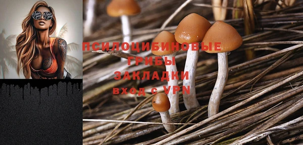 ПСИЛОЦИБИНОВЫЕ ГРИБЫ Богородск