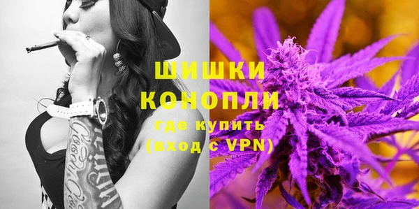 молекула духа Богородицк