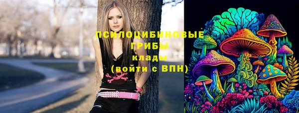 а пвп мука Осинники