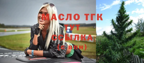 молекула духа Богородицк