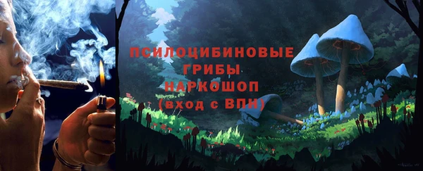 ПСИЛОЦИБИНОВЫЕ ГРИБЫ Богородск
