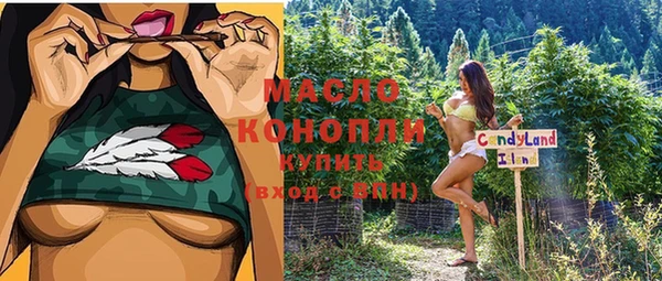 молекула духа Богородицк